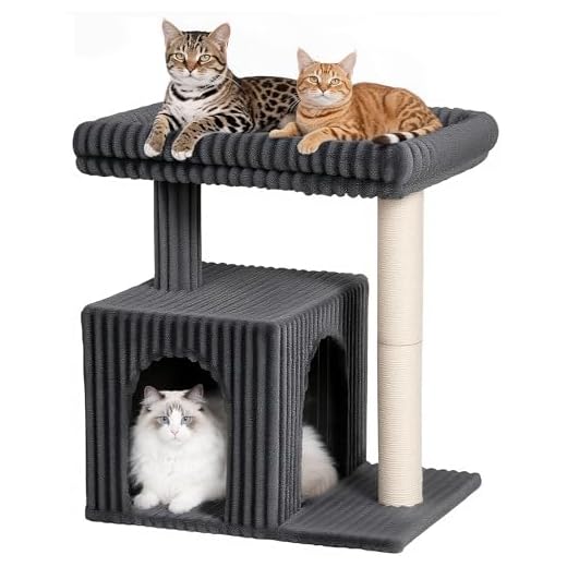 KinoTail 22.8" Cat Tree for Large Cat, 20.9 * 15.7in Large Perch Dark Gray