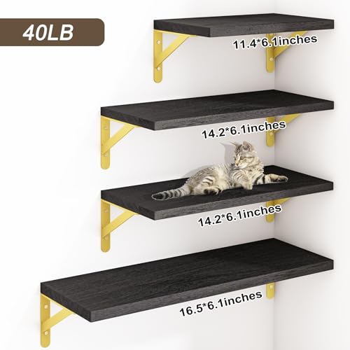 Image of YGEOMER Floating Shelves for Wall, Different Sizes Black Wall Shelves for Living Room, Bathroom, Bedroom, Kitchen, Home Decor (Set of 4)