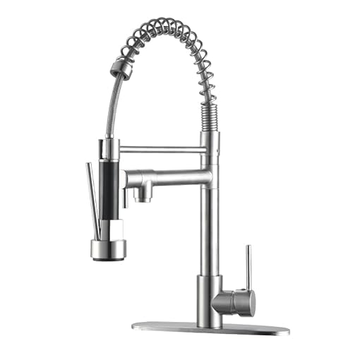 WAWJN Spülbeckenarmatur Stainless Steel Küchenarmatur mit Zug-Sprühkopf & Doppeldüse Federelastisch für Wohnmobil Bauernhof & Camping: Spritz- & Strahlöse für Küchenspüle(Gebürstet)
