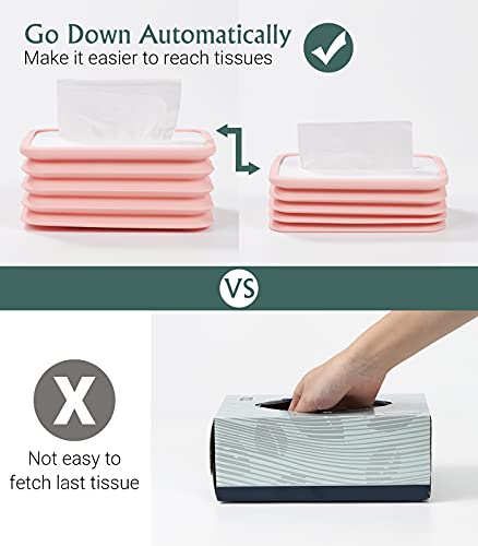 Shinowa Porta Fazzoletti e Tovaglioli, Scatola di