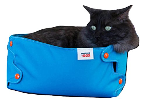 Whisker + Box Cat Compression Box Charcoal thumb #2