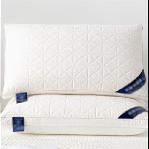 Almohada acolchada con función de plumas, protege la cama de la columna cervical de hotel de cinco estrellas (D) (D 48 x 74 cm)