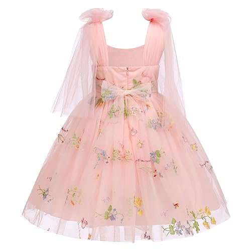 Baby Flower Girl Dress Sleeveless Floral Embroidered Princess Dress Toddler Birthday Party Lace Fairy Tulle Dress2