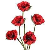 Tipps: Die künstlichen Mohnblumen werden sorgfältig verpackt geliefert. Bitte passen Sie Stiele oder Blumen vorsichtig an, um die künstlichen Blumen in Ihr gewünschtes Aussehen zu bringen. Willkommen, um mehr zu sehen.