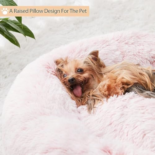 65cm Ø Flauschig Hundebett Katzenbett Bärentatzen-Design Hundekissen Katzenkissen Waschbar Hundekorb Katzenkorb Plüsch rutschfest Haustierbett Warm Schlafplatz für kleine mittelgroße Hunde/Katze/Hasen