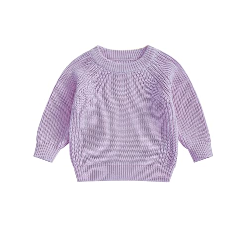 Toddler Baby Girl Boy Sweater Sweatshirt Knit Long Sleeve Blouse Pullover Top Outerwear Warm Fall Winter Clothes (Purple, 12-18 Months)