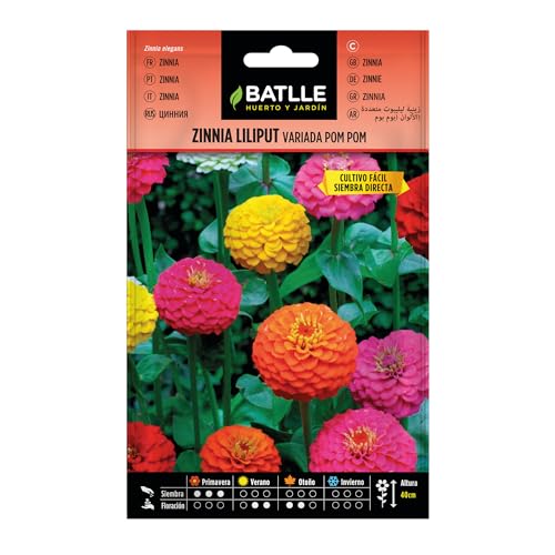 Batlle Semillas De Zinnia Lilliput Variada Pom Pom Bolsa De Semillas De Flores Multicolor Fácil Cultivo Para Macizos, Borduras Y Flor Cortada