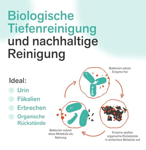 BactPro - BactHome - Beseitigt Gerüche, Schweiß- und Urinflecken von Matratzen, Kleidung, Schuhen und Sportgeräten - BactPro Bio-Aktivator - Spray 700 ml