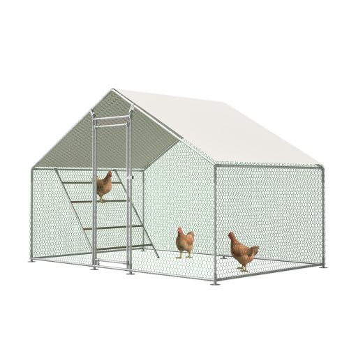 Gallinero con escalera de asiento – 3 x 2 m transitable aviario con cubierta de polietileno UV y cerradura de seguridad, para palomas y gallinas