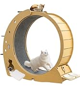 キャットホイール 大型 106cm静音猫回し車ランニングホイール ワイド設計木製 Amazon.co.jp: キャットホイール 猫 キャットホイール 静音 猫 運動 おもちゃ