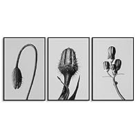 3 Piece Framed Canvas Wall Art Black and White Plants Canvas Prints Home Artwork Decoration for Living Room,Bedroom - 16