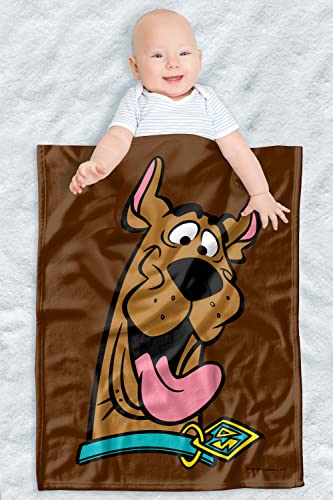 Image of LOGOVISION Scooby Doo Lightweight Baby Blanket, 30"X40", Scooby Happy Unisex for Infants Girls & Boys