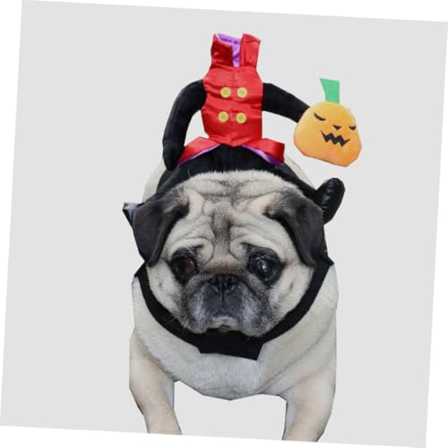 Disfraz para perro Halloween calabaza talla S miniatura 3