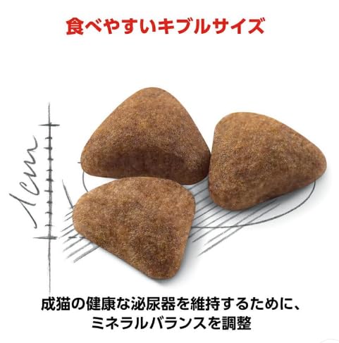 ロイヤルカナン インドア 猫用 2Kg×2個 ニューパッケージ 3月31日22