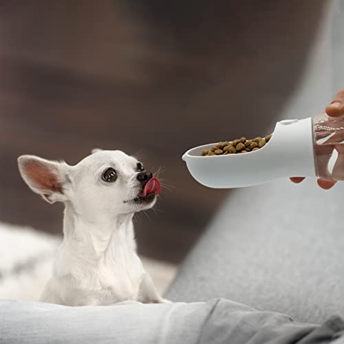 Borraccia portatile, bottiglia dispenser acqua per...