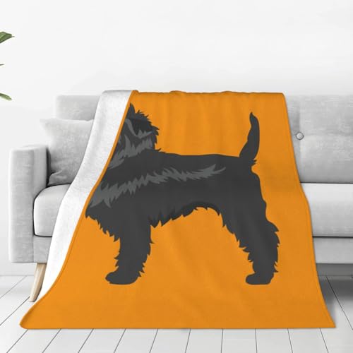 A[tFsV[ _炩tlѕz G zM ÓdCEsOh~ Op