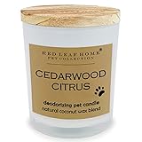 Red Leaf Home | Cedarwood Citrus Pet Deodorizing Jar Candle | Large | Gift, Perfect for Dog & Cat Ow