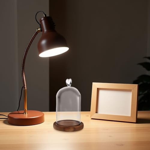 Cúpula de cristal para proteger flores del polvo con luz integrada 7