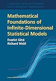Mathematical Foundations of Infinite-Dimensional Statistical Models (Cambridge Series in Statistical...