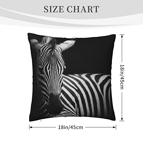 Varun Throw Pillow Covers Cute Zebra Square Pillowcases For Home Decor Sofa Car Bedroom Wild Animal Black White Stripes Design Dark Background Print Pillow Cases 18X18Inch #TOP1