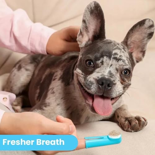 Pawtitas Natural Dog Toothpaste Powder Prevents Tartar Plaque Gum Disease Bad Breath a Natural Pet Dental Care and breath freshener for Dogs 4 OZ Bottle Pawtitas Natural Dog Toothpaste Powder Prevents Tartar Plaque Gum Disease Bad Breath a Natural Pet Dental Care and breath freshener for Dogs 4 OZ Bottle