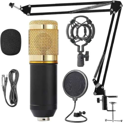 Kit Microfone Estúdio BM800 + Pop Filter + Aranha + Braço Articul...