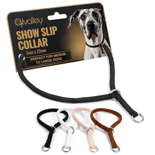 Show Slip Collar &ndash; Conformation Dog Collar &ndash; Flat Braided Premium Nylon &ndash; Chrome Plated...