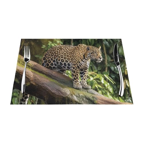 Lot de 4 sets de table pour table de salle à manger motif jaguar