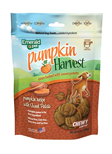 Emerald Pet Pumpkin Harvest Pumpkin Dog Treats — Low-Fat Chewy ...