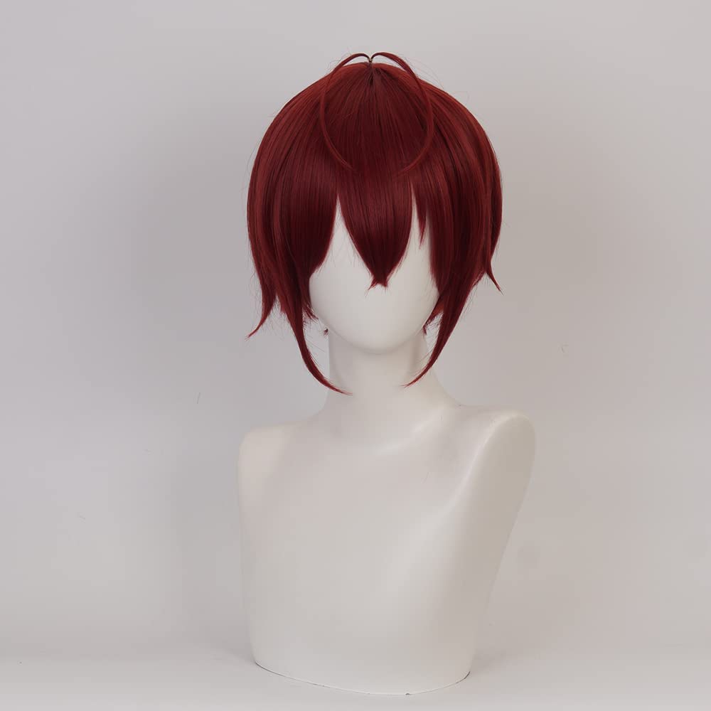 Wine Red Short Wig for Anime Costume with Straight Heat Resistant Synthetic Hair for Women Halloween Cos Anime Party Comic Con Replacement Wigs - Image 2