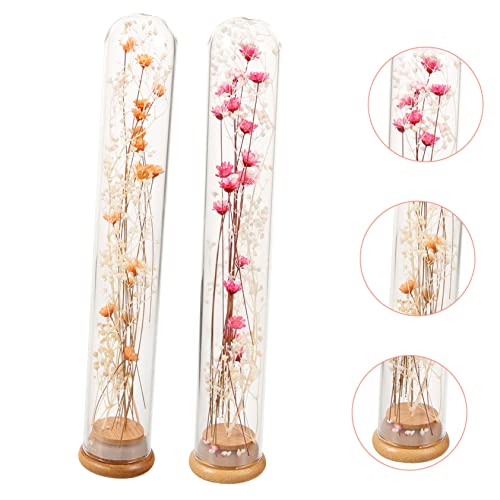 Garneck 2pcs Flor eterna jarrón decorativo de vidrio miniatura 7