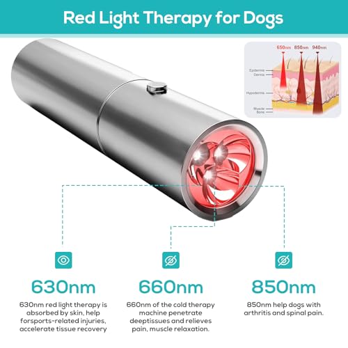 Image of Vicmama Red Light Therapy for Dogs - Red Light Therapy Devices, Infrared Healing Light Therapy for Dogs, Cats Muscle & Joint Pain Relief, Near Infrared Light Therapy for Dogs Body Reduce Inflammation
