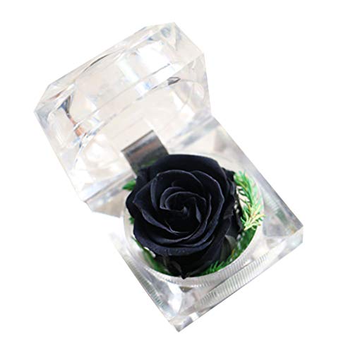 OOLA.DETAL ̓[YMtg ꂳւ̖{KN sł̉ỉԂ̑ NX^{bNX EFfBO lHԗ z[fR[V  O p