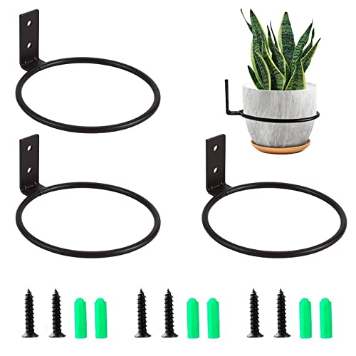 Zhongtou 3 Stück Blumentopf Wandhalterung 15cm Rund Blumentopfhalter Wand...