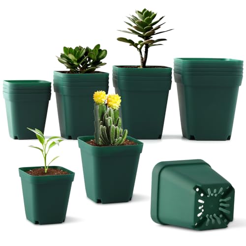 RooTrimmer Square Nursery Pots Clearance (2.7', 3', 3.5', 4') with Drainage Holes 20 Pcs, Plastic Seed Starting Pots, Sturdy and Durable Seedling Pots for Planting, Cuttings and Transplanting, Green