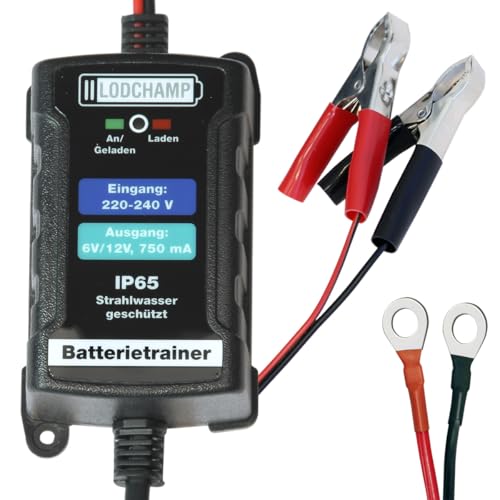 LODCHAMP Chargeur de maintenance IP65 pour voiture, moto, quad, VTT, bateau, argent, 146303, 6V/12V-750mAh, IP65