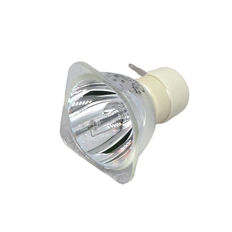 Lampe de projecteur UHP 190/160W 0.9 E20.9 haute performance 5J.J2V05.001