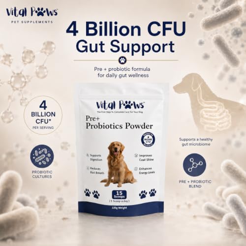Image of Probiotics for Dogs, Pre + Probiotic Powder Chicken Flavour, 4 Billion CFU Dog Gut Health Supplement, Supports Digestion, Coat Shine, Bad Breath & Daily Food Mixing, 120g