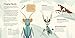 Amazing Insects Around the World