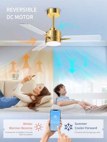 Image of LANMEL 42 Inch Metal Ceiling Fan with Light, Modern Flush Mount Low Profile with Remote Control, Reversible, 3cct Dimmable, Quiet, Gold Transp LED for Bedroom, Living Room, Indoor /Outdoor Patio Use