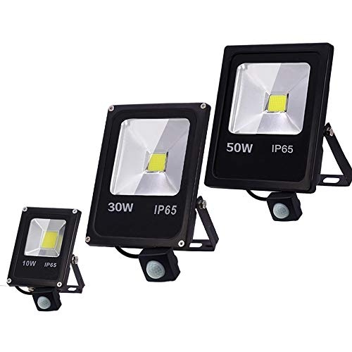 WWKQSTKR Foco LED for exteriores, reflector con sensor de movimiento, luz inundación 220 V, 50 W, 30, 10, lámpara pared IP65, iluminación impermeable, seguimiento (color: sin, tamaño: blanco frío)
