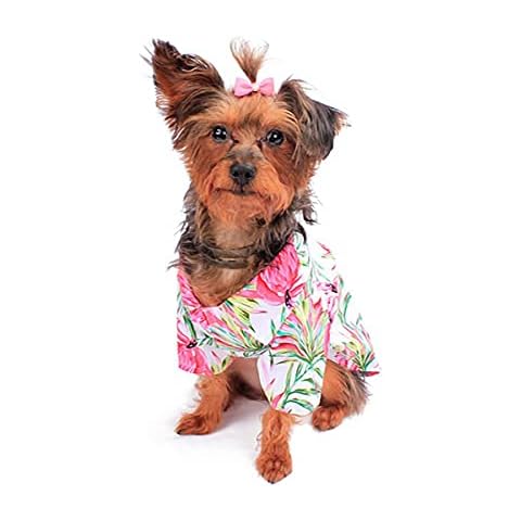 Hawaiian Matching Pattern Dog Aloha Shirt in Flamingo in Love Size XLarge Cover