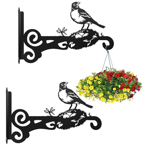 AROMUJOY Lot de 2 crochets muraux pour suspension de fleurs, support pour plantes suspendues en fer, 25 cm, pour suspendre des lanternes, des carillons, des appliques murales