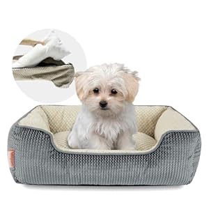 Miguel Small Dog Bed Washable Removable Cover, Cat Bed for Indoor Cats Square, Cuddle Rectangle Pet Bed with Side Soft Bolster Puppy Bed Kitten Bed with Wall Slip-Resistant Bottom, Gray 20 Inch