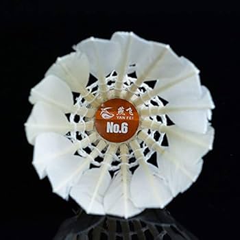 Amazon | バドミントン シャトル 12 ピース練習シャトル ボール