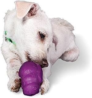 Premier Squirrel Dude Dog Toy, Small