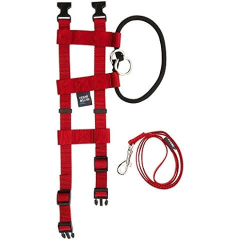 Cesar Millan Original American Illusion Collar Training Collar & Lead Cover