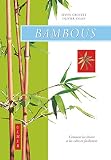 Bambous : Comment les cultiver facilement