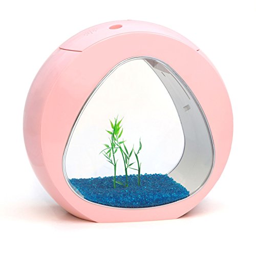 allpondsolutions, pequeño Nano Curva acuario acuario tanque de peces agua fría tropical iluminación LED, 13,5 litros, rosa