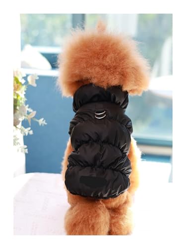 Veste pour chien matelassée et isolante pour le confort des petits chiens